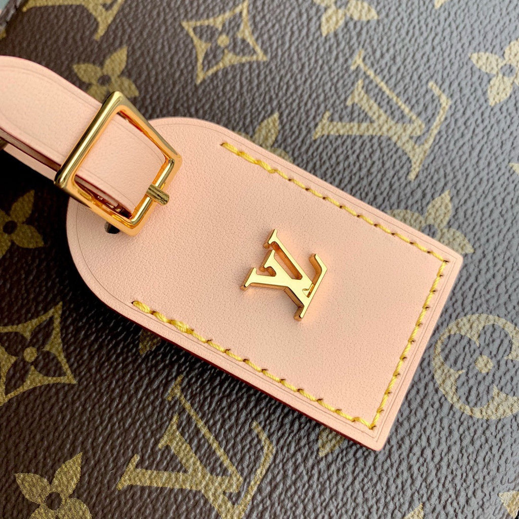 Louis Vuitton AROUND ME PM 22 IN BROWN MONOGRAM CANVAS