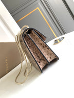 Bottega Veneta HANDBAG 25 IN GREY SHINY PYTHON LEATHER