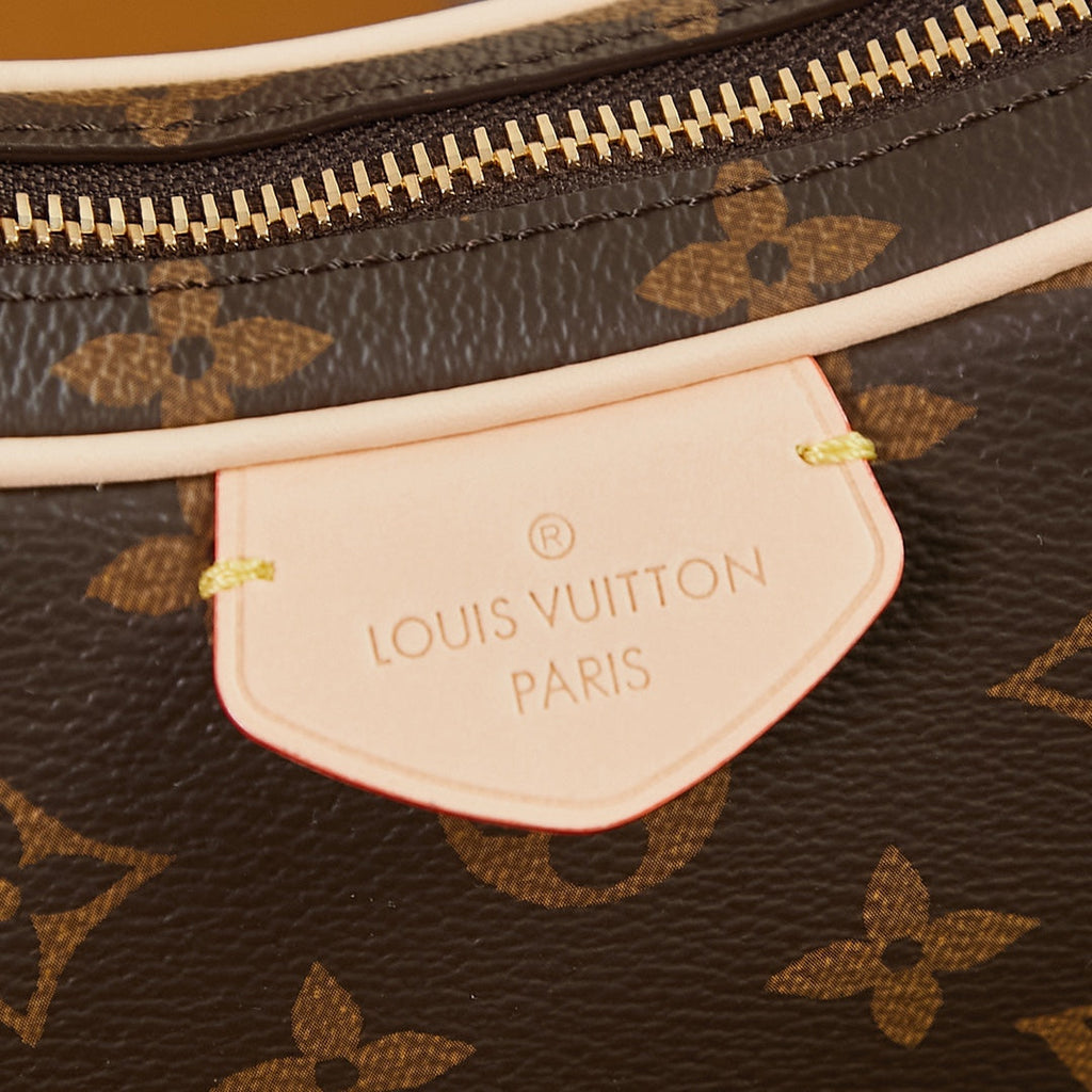 Louis Vuitton CROISSANT 21 IN BROWN MONOGRAM CANVAS