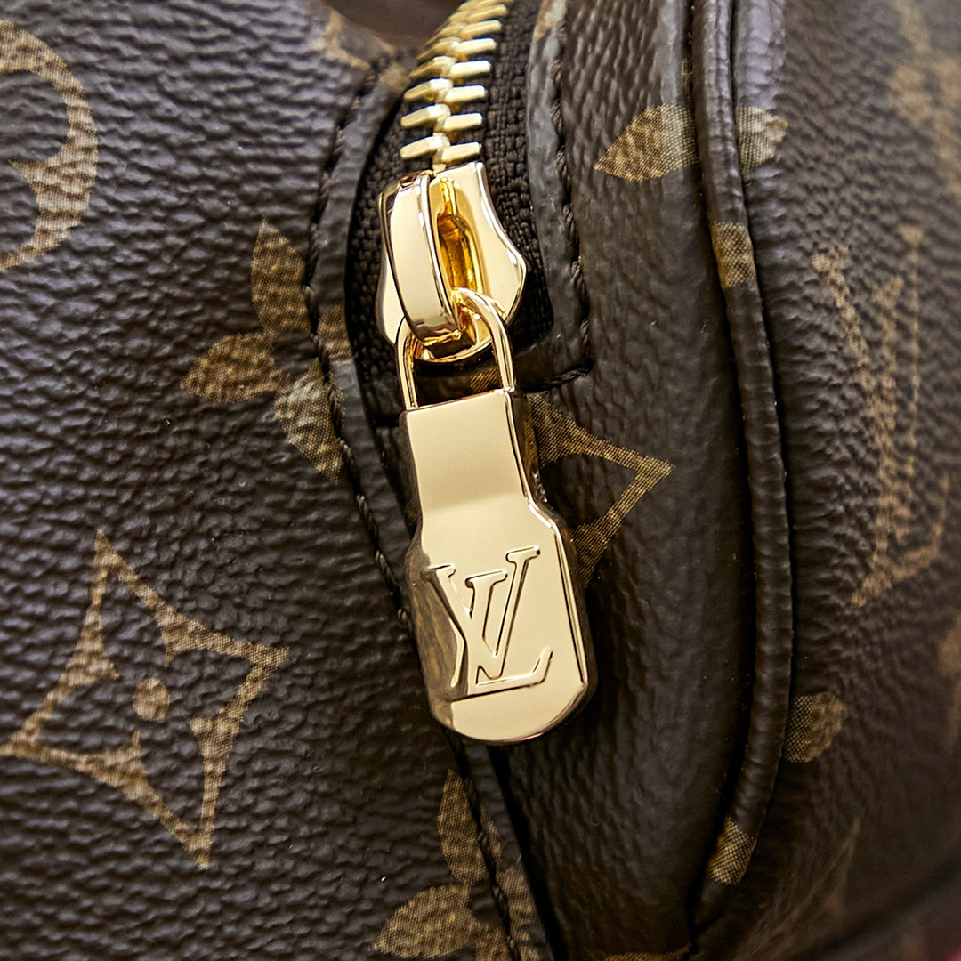 Louis Vuitton MONTSOURIS MINI BACKPACK 25 IN BROWN MONOGRAM CANVAS