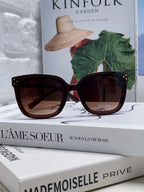 Celine TRIOMPHE SUNGLASSES 573248 IN BROWN ACETATE METAL LOGO