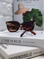 Celine TRIOMPHE SUNGLASSES 573248 IN BROWN ACETATE METAL LOGO