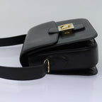 CELINE Horse Carriage Shoulder Bag Leather Black  ki4569