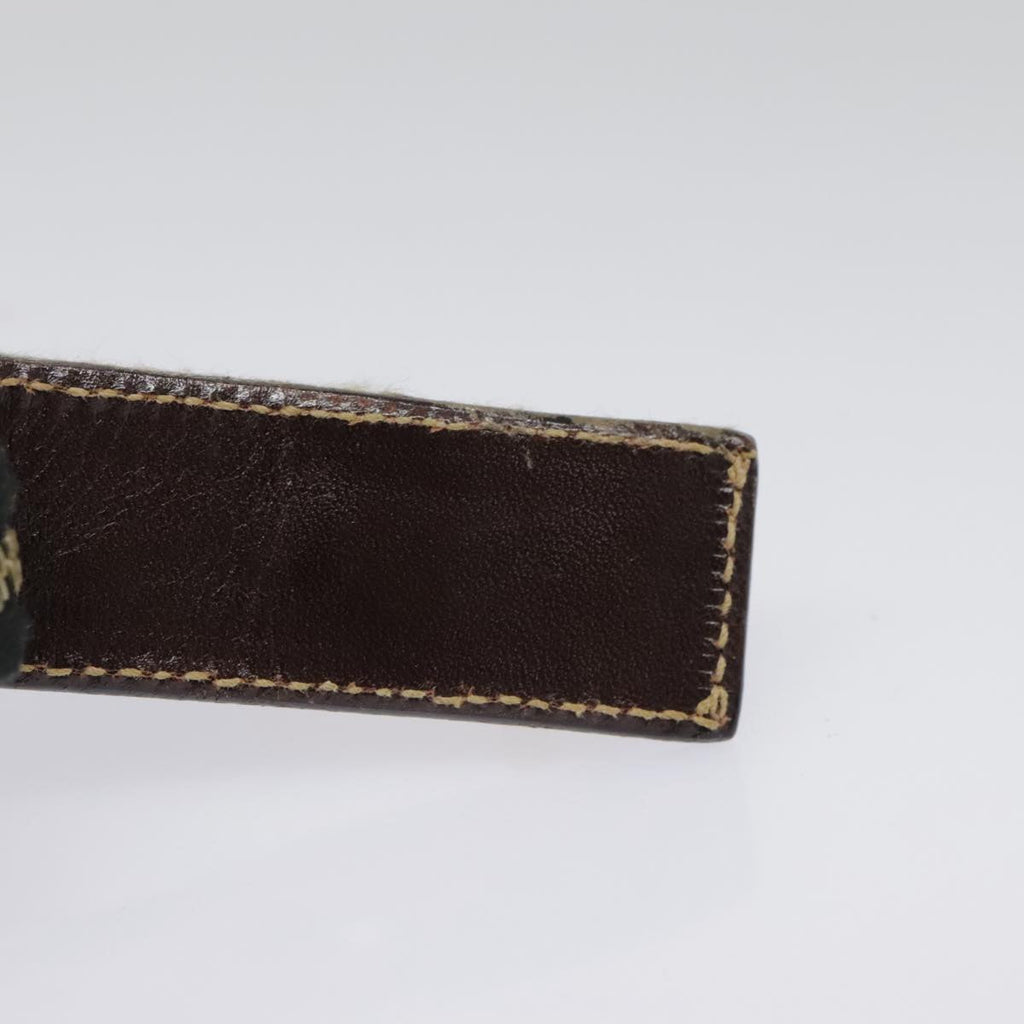 FENDI Zucca Canvas Pouch Brown Black goldki4972