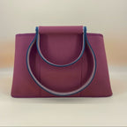 HERMES cabag PM canvas Shoulder bag