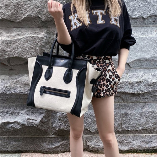 CELINE luggage cloth Handbag