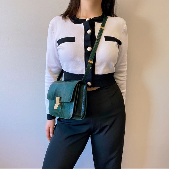 CELINE classic bag Lizard skin