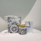 UNUSED Christian Dior Twilly in Beige Silk OS Scarves and Shawls