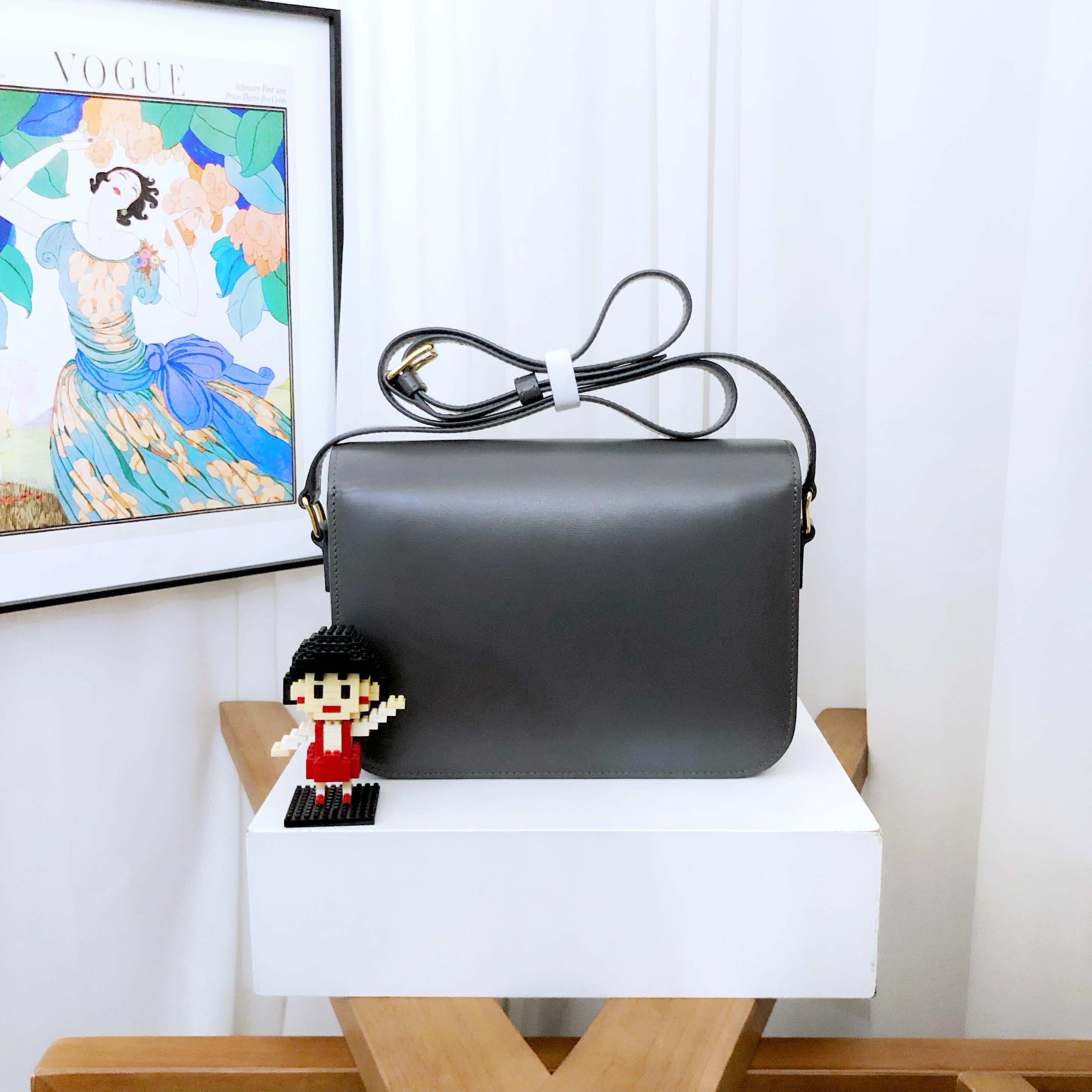 Celine Triomphe Medium Shoulder Bag in Gray Leather