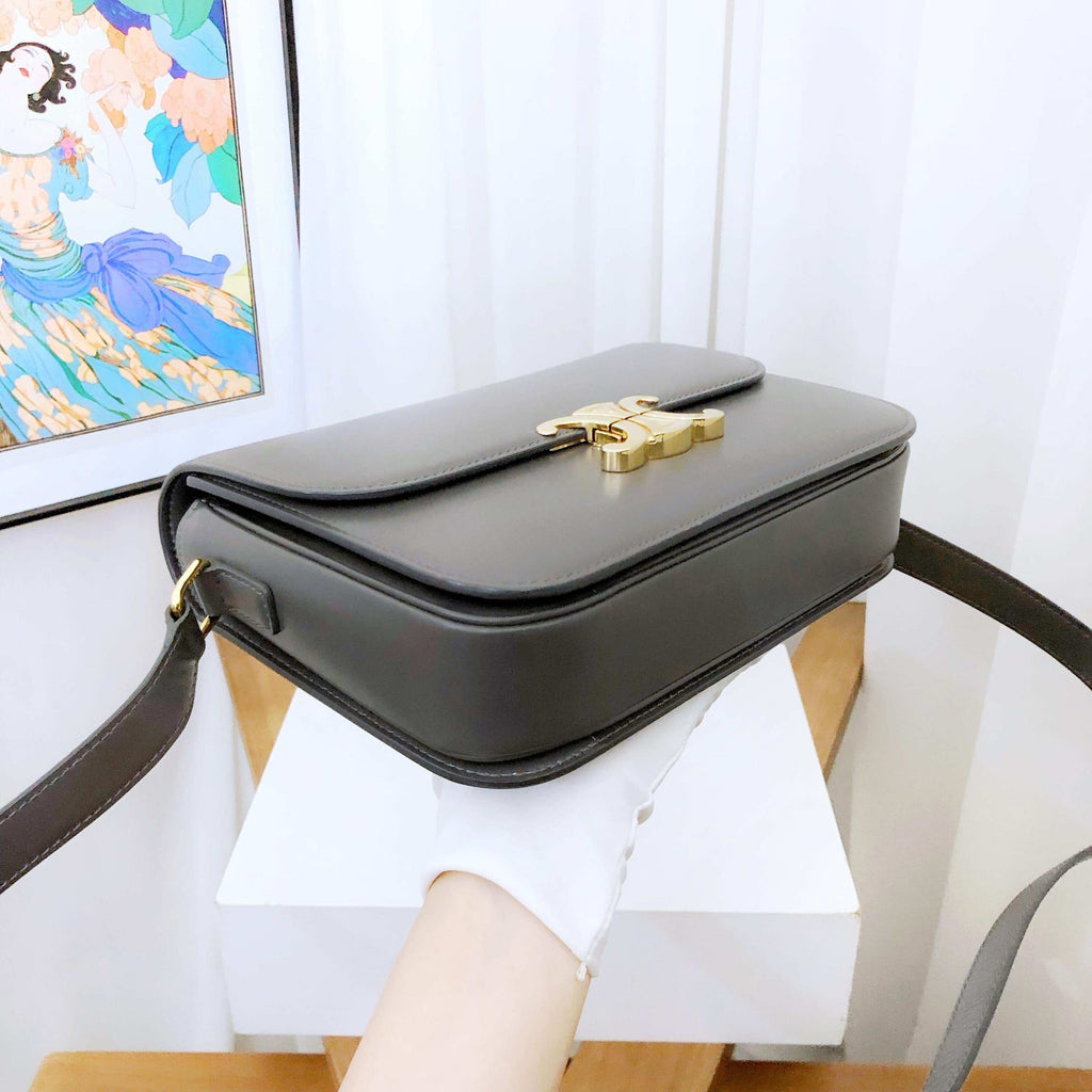 Celine Triomphe Medium Shoulder Bag in Gray Leather