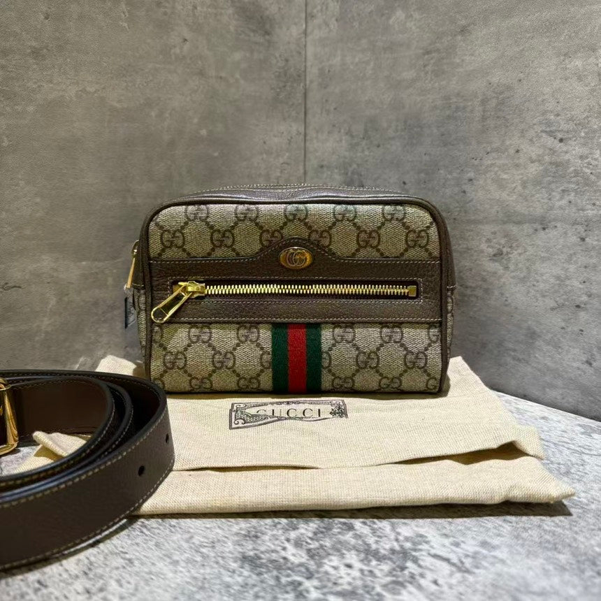 ❤️‍🔥  gucci bumbag monogram