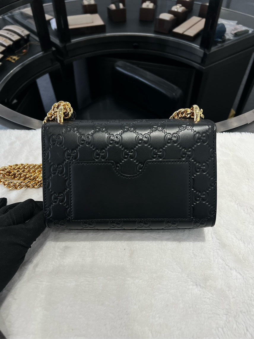 Gucci bag HBg