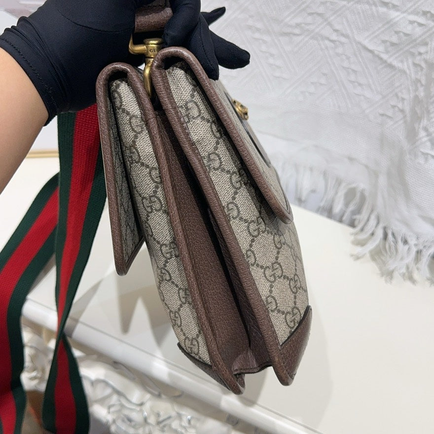 Gucci bag