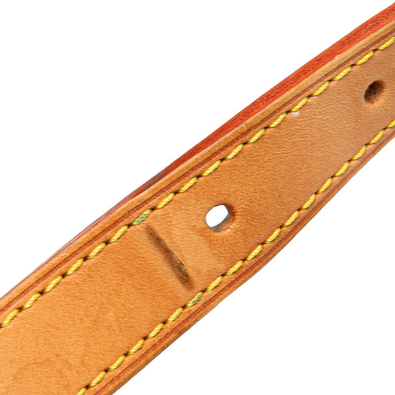 Louis Vuitton Sologne Monogram Multicolore Shoulder Bag