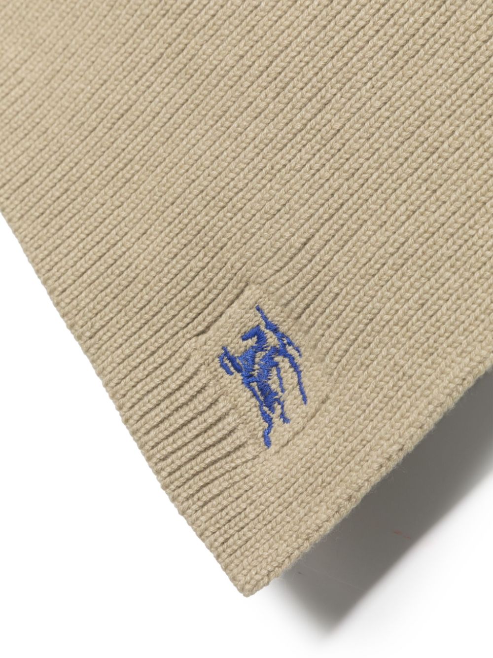Burberry Women Wool And Cahmere Blend Ribbed Scarf