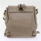 Chloe Fay Shoulder Bag Leather 2way Gray tb882