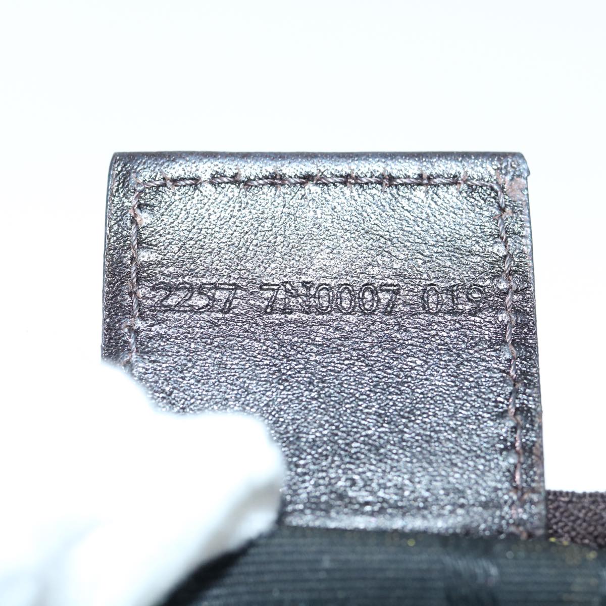 FENDI Zucca Canvas Pouch Black Brownti1419