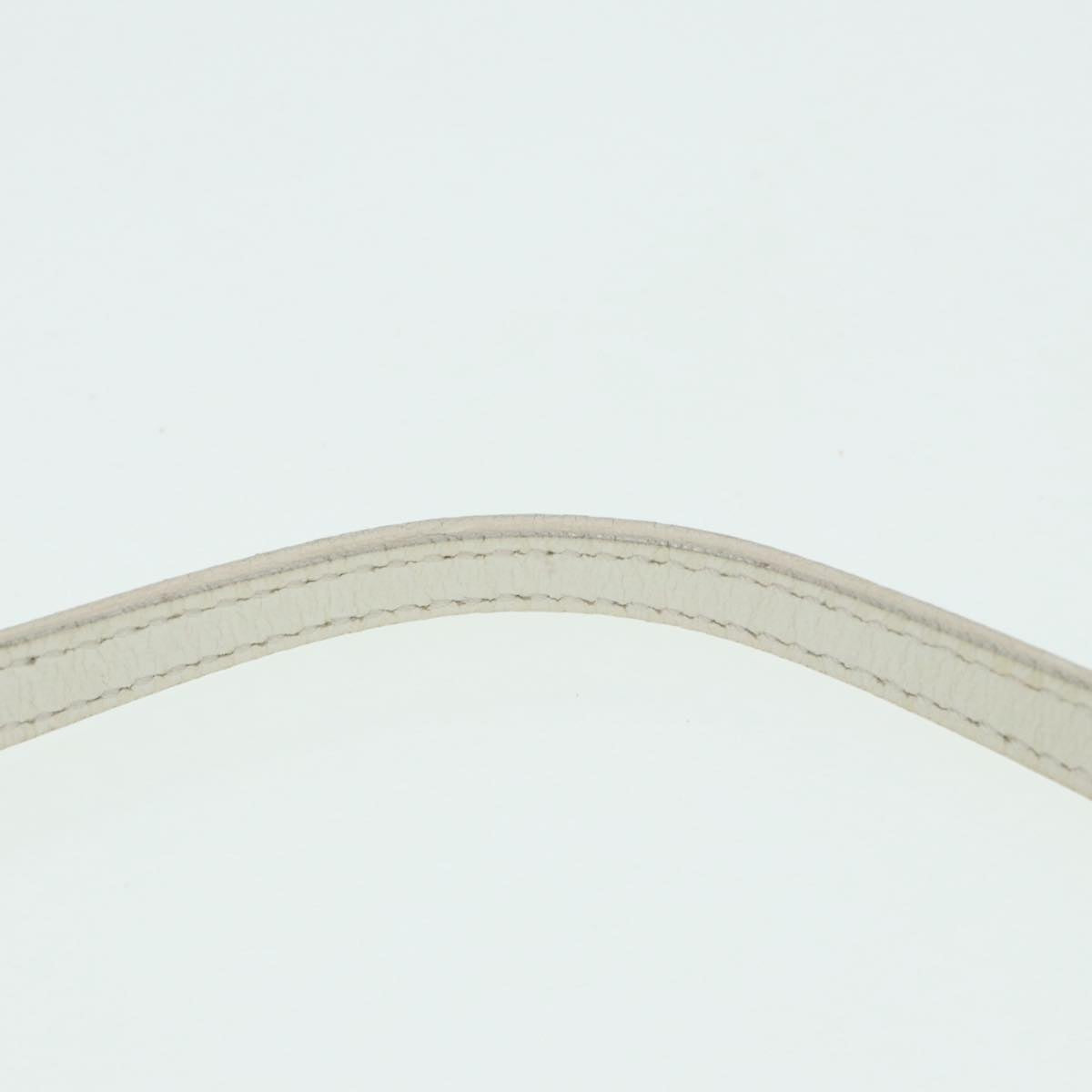 FENDI Zucchino Canvas Pouch Nylon White Silverti1933