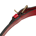 Louis Vuitton Petit Noe Epi Shoulder Bag