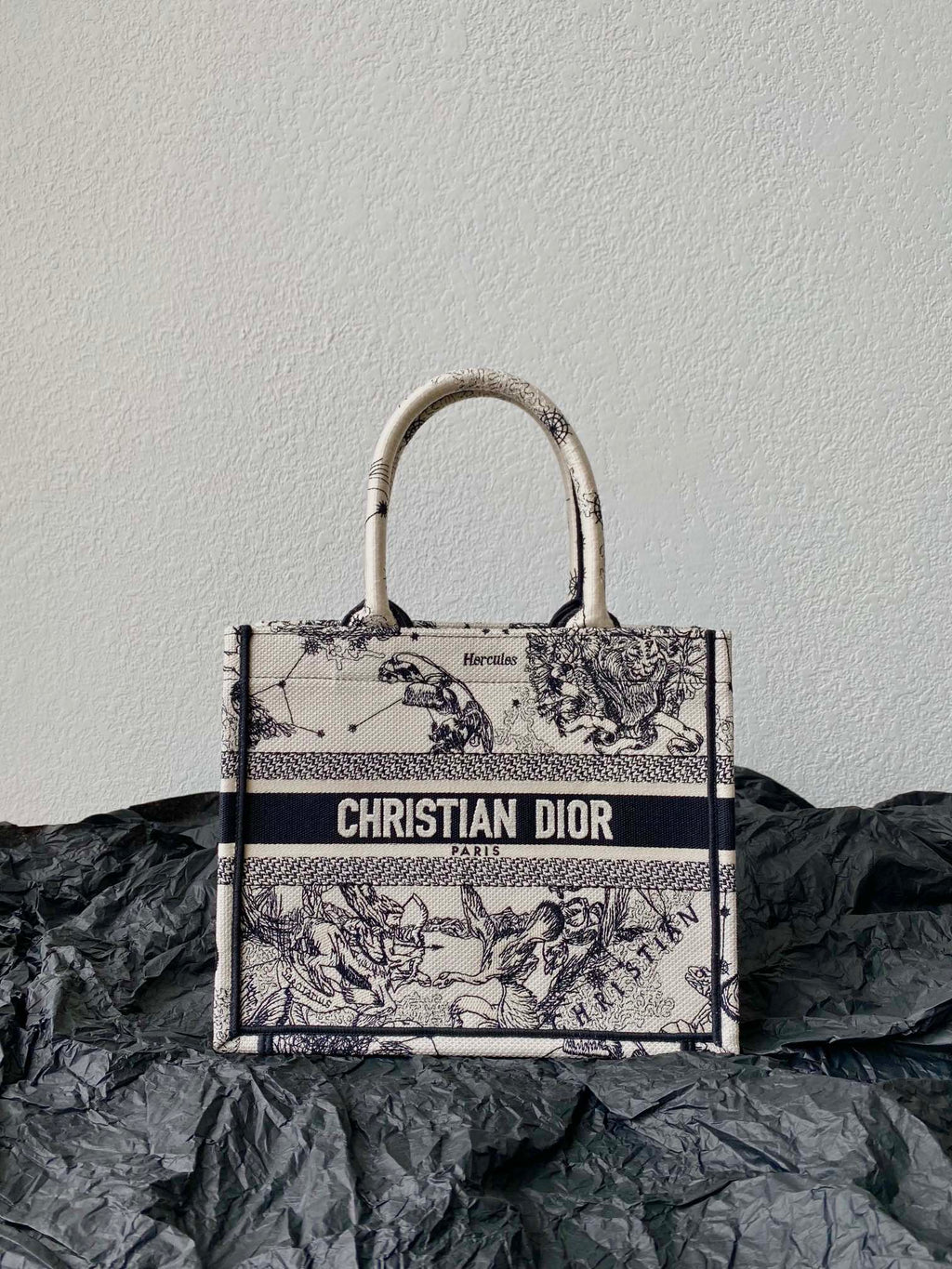 DIOR Small Book Tote 26.5cm Hercules White
