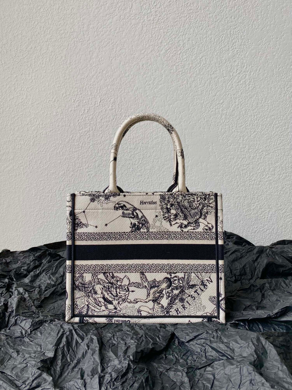 DIOR Small Book Tote 26.5cm Hercules White
