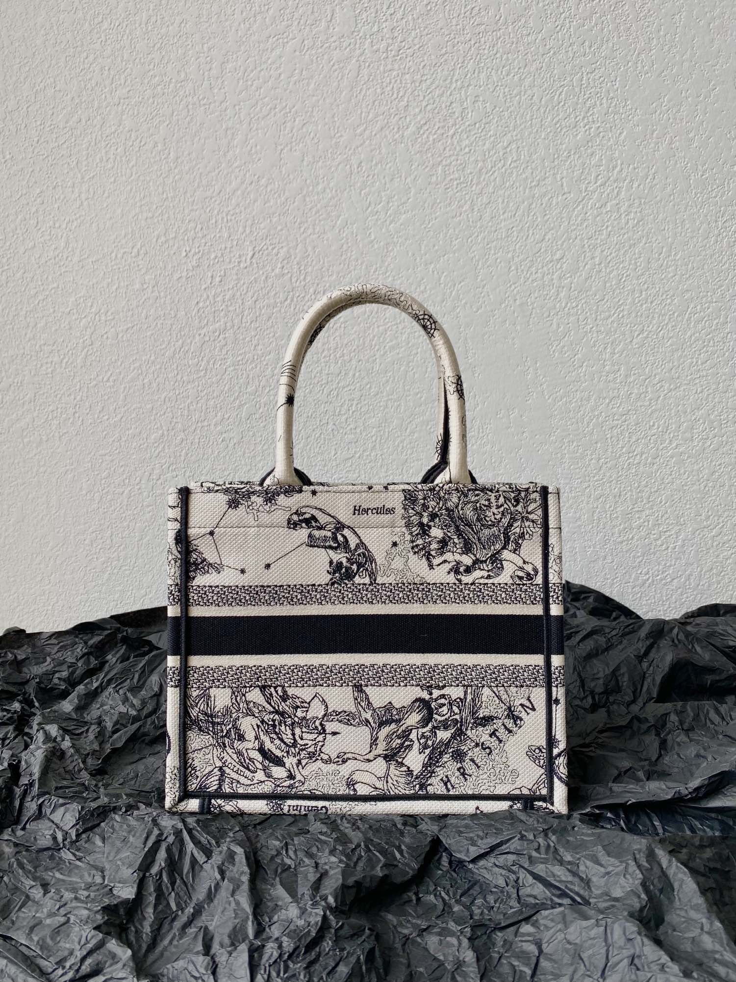 DIOR Small Book Tote 26.5cm Hercules White