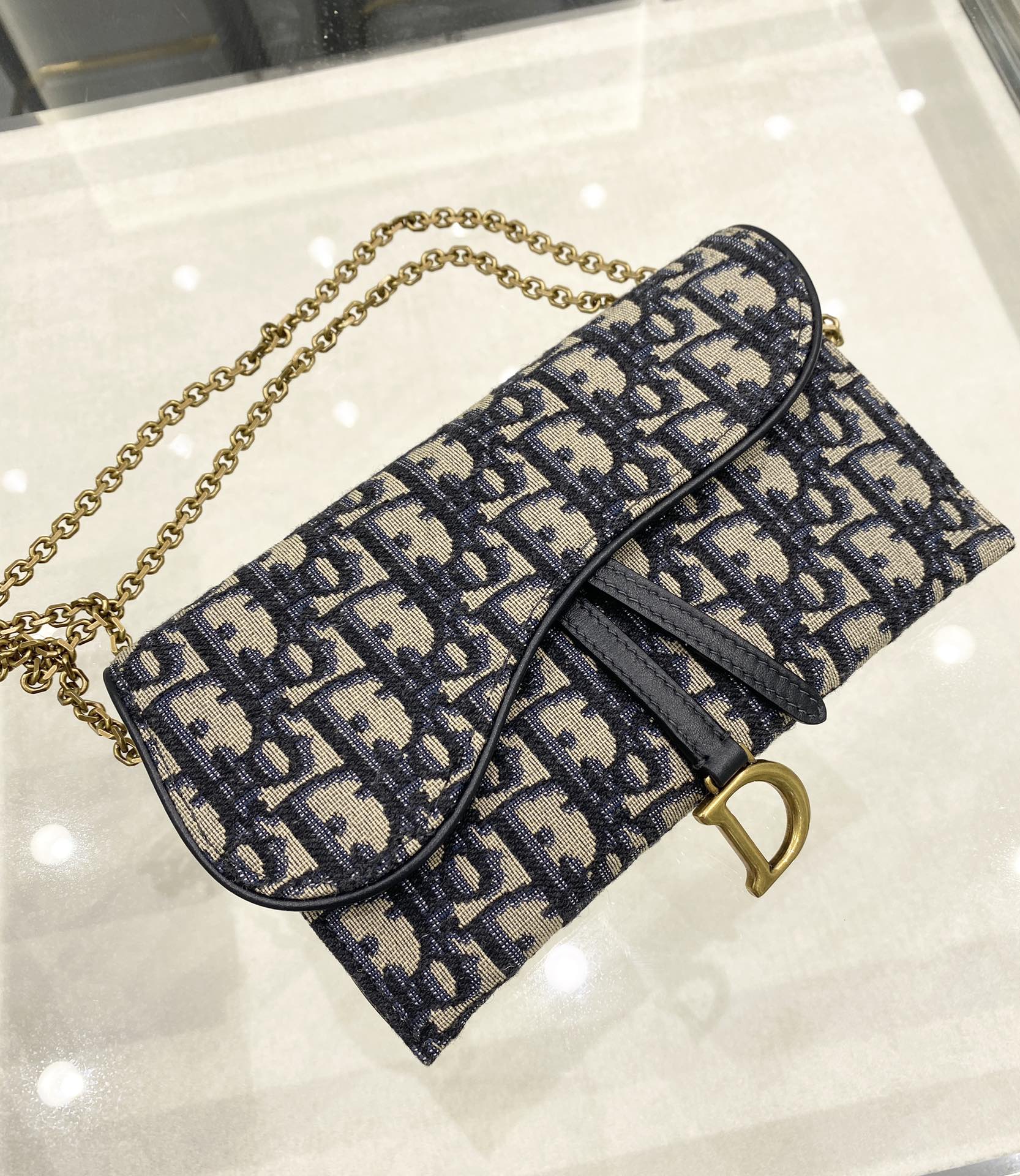DIOR Saddle WOC 19cm Blue Obique Embroidery