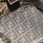 FENDI Zucca Canvas Vanity Hand Bag Brown Blackyb514