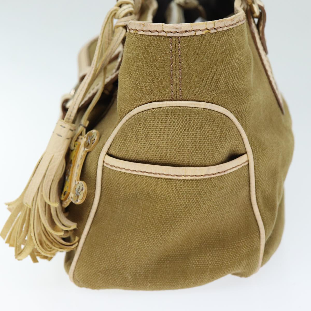 CELINE Boogie bag Hand Bag Canvas Brown 12351