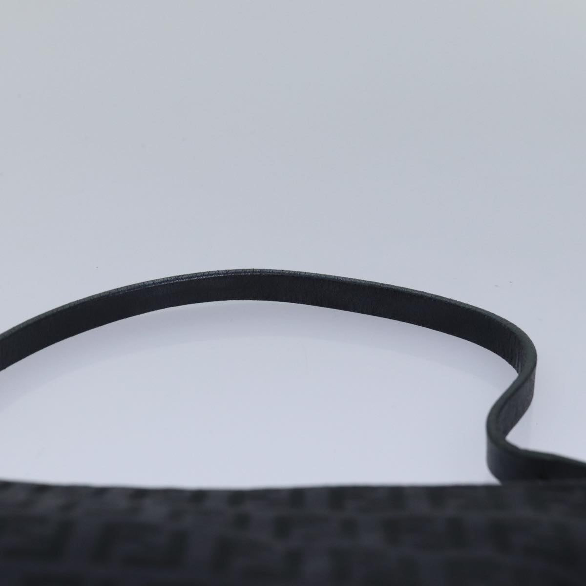 FENDI Zucchino Canvas Hand Bag Blackyk13746