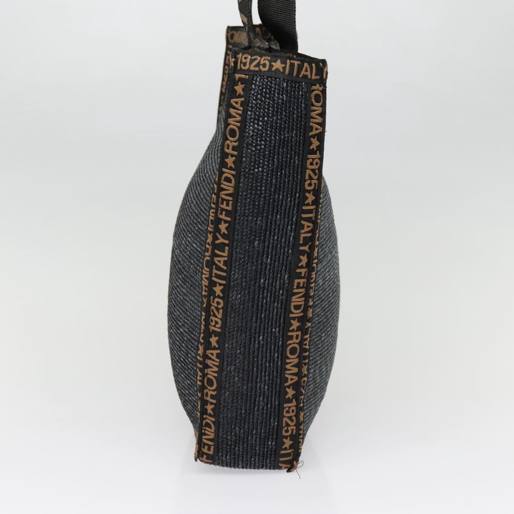 FENDI Tote Bag Straw Black Goldyk14912
