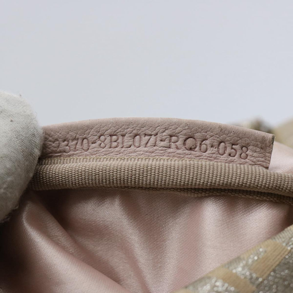 FENDI Zucchino Canvas Hand Bag Silveryk9629