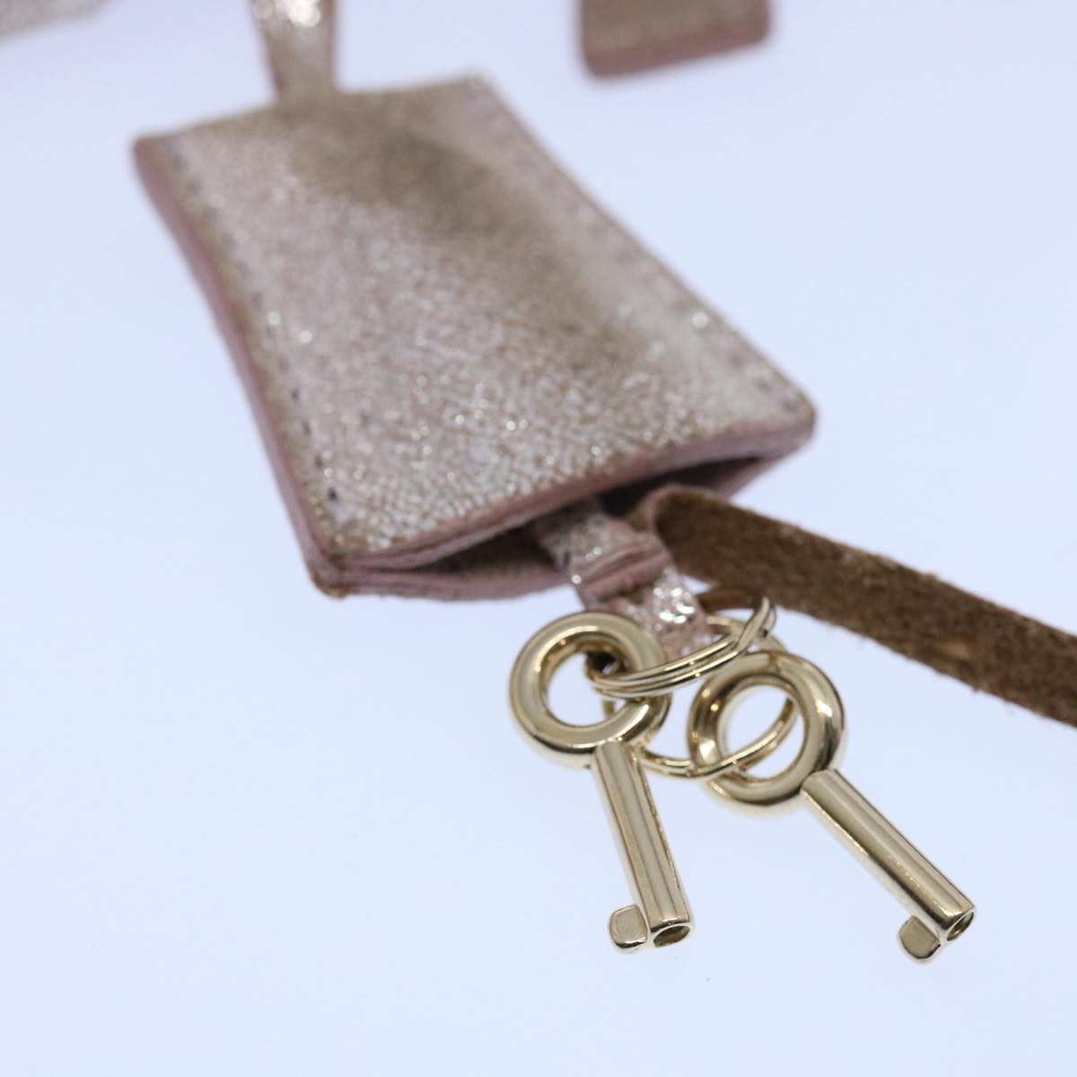 FENDI Zucchino Canvas Hand Bag Silveryk9629